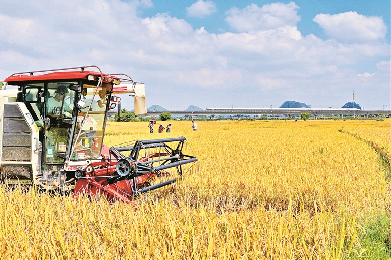 23a5a09c-090c-4809-af2d-1241a5386bb2.jpg